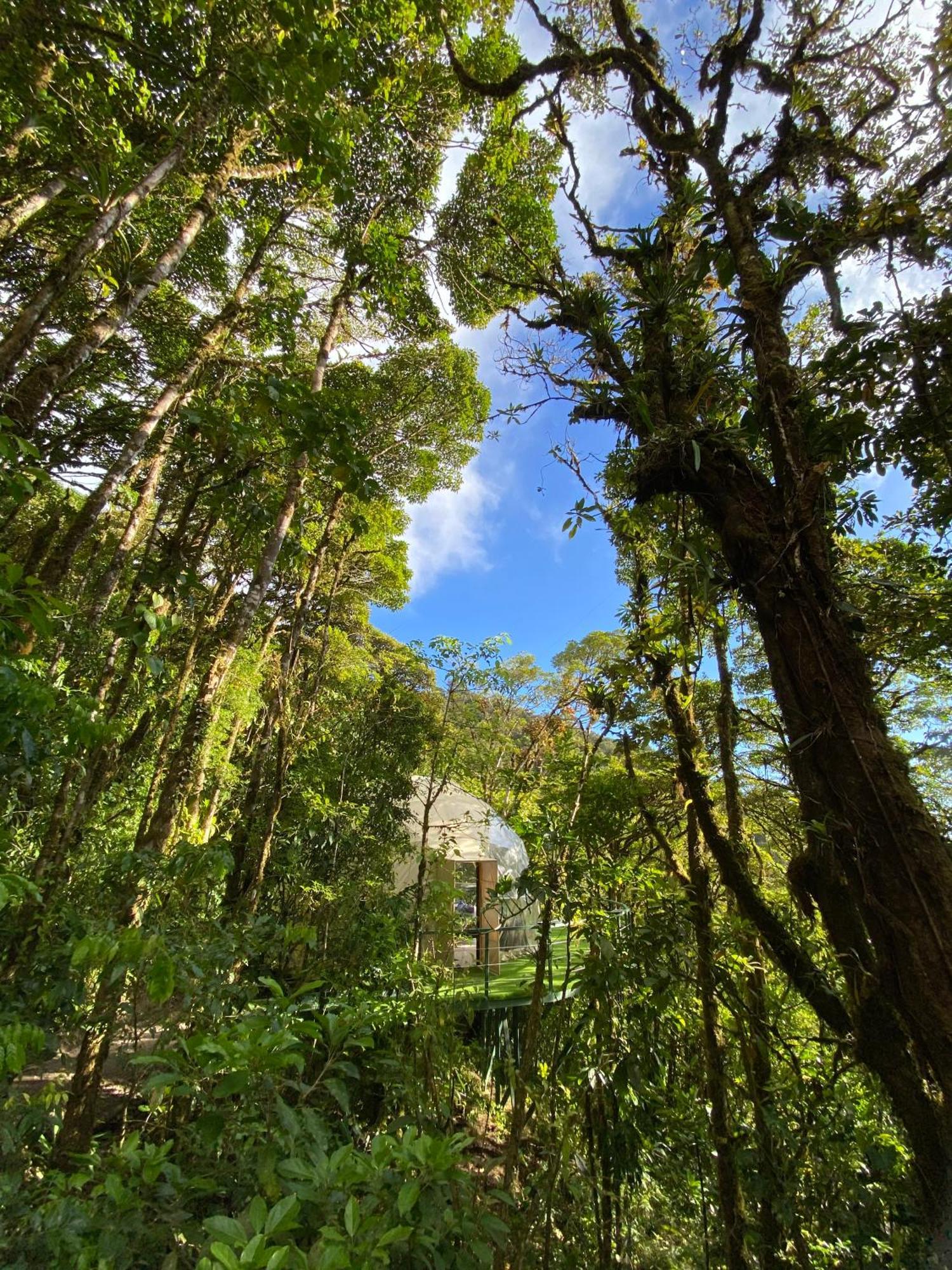 Hotel Way To Heaven Glamping Monteverde Exterior foto