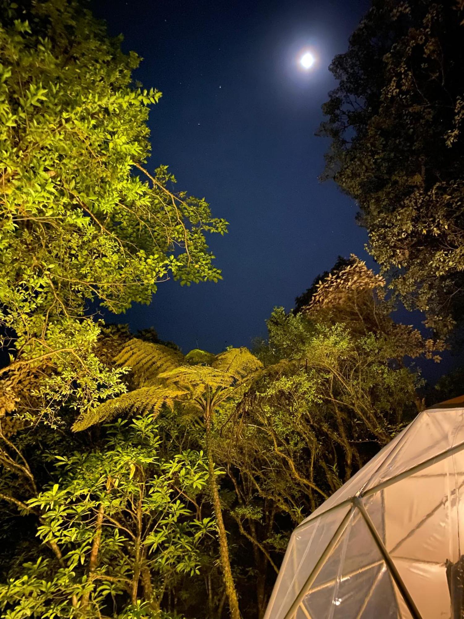 Hotel Way To Heaven Glamping Monteverde Exterior foto